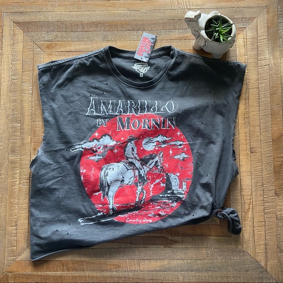 GRAPHIC TEE - brand new distressed western graphic tee - Picture 2 of 7